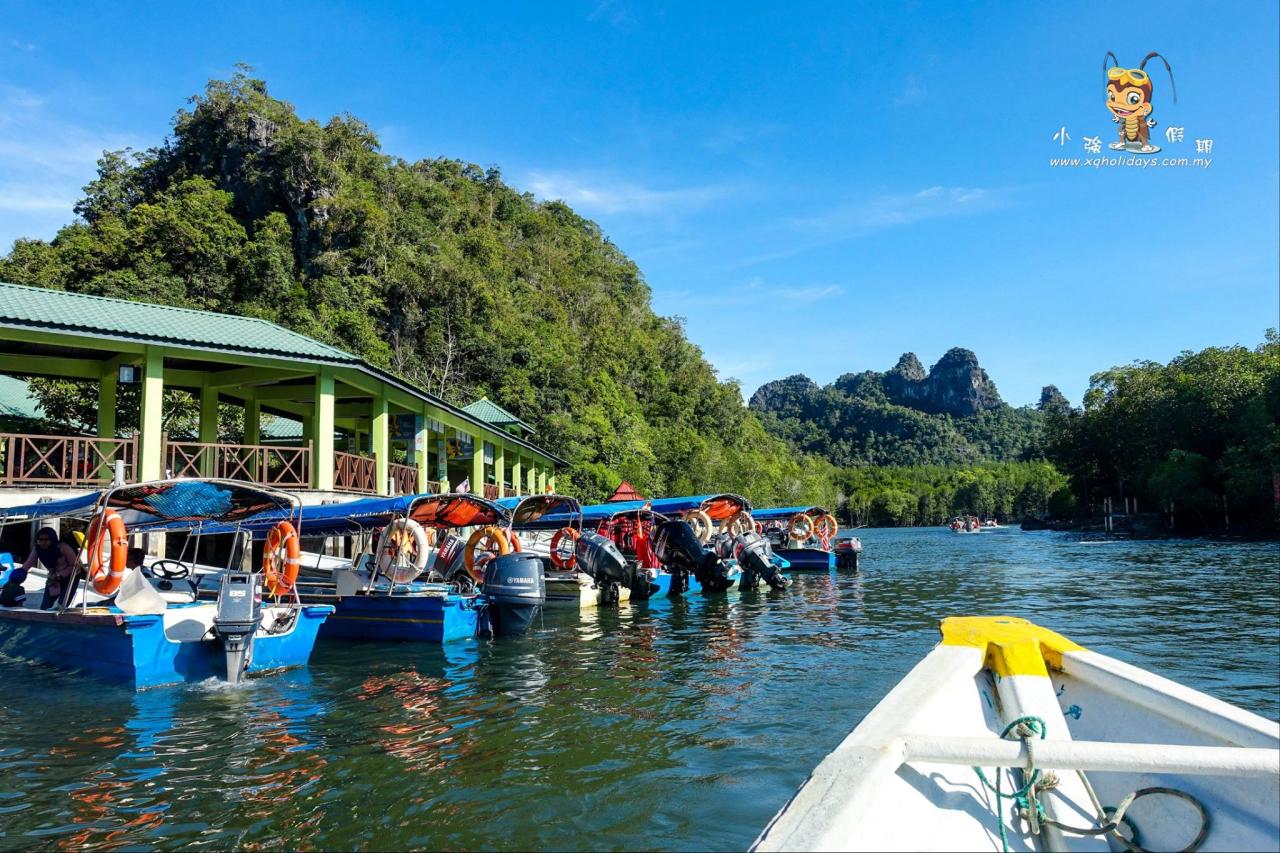 Jelajahi Keindahan Mangrove Langkawi dengan Mangrove Tour